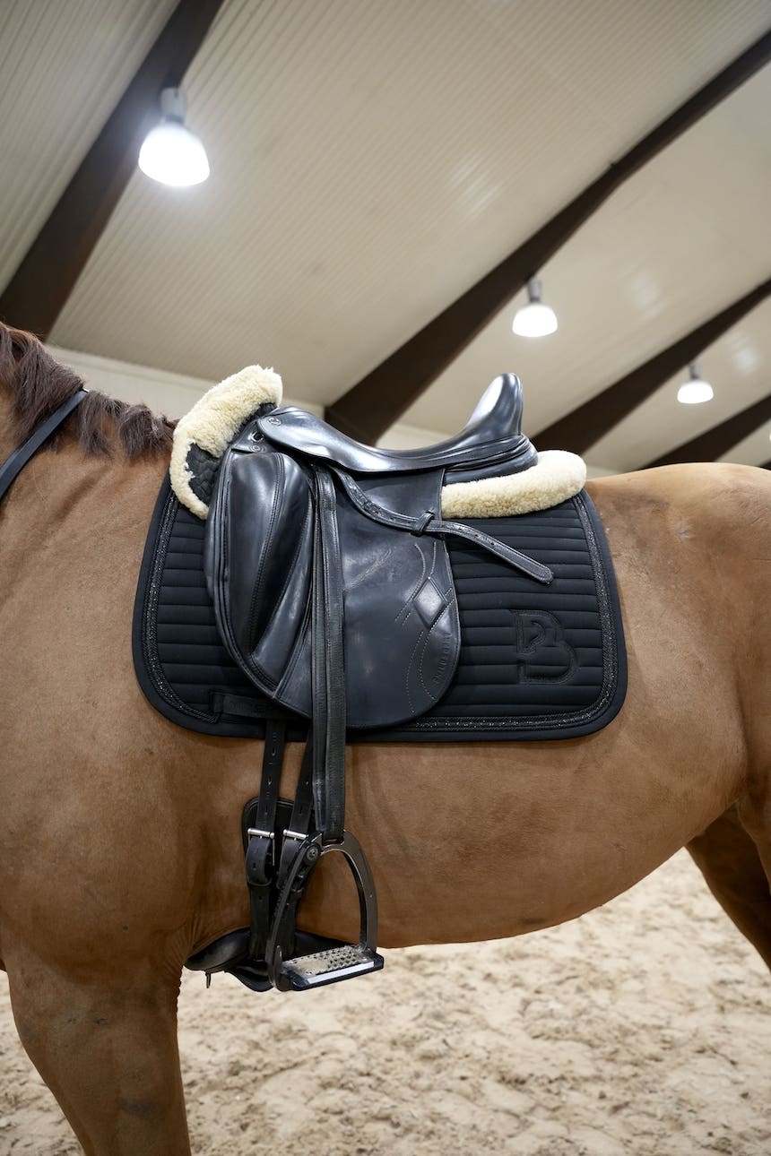 Sparkle Black Dressage Saddle Pad - BREIJA