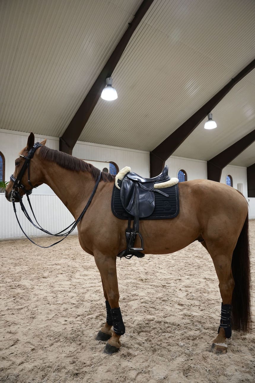 Sparkle Black Dressage Saddle Pad - BREIJA