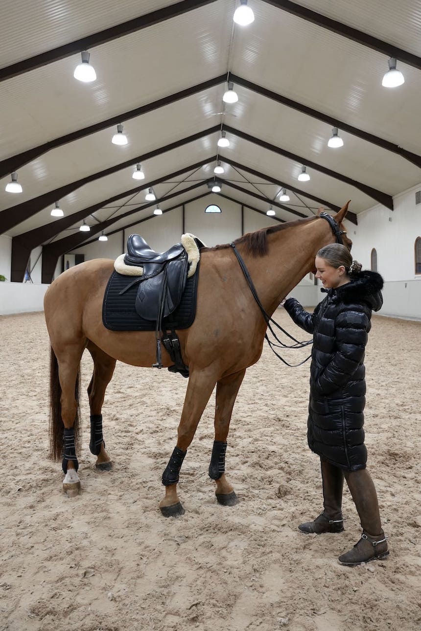 Sparkle Black Dressage Saddle Pad - BREIJA