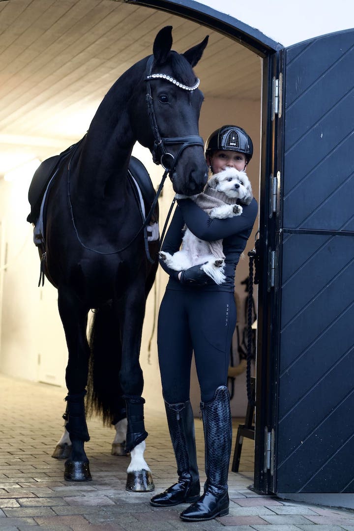 Flyinge Black Breeches