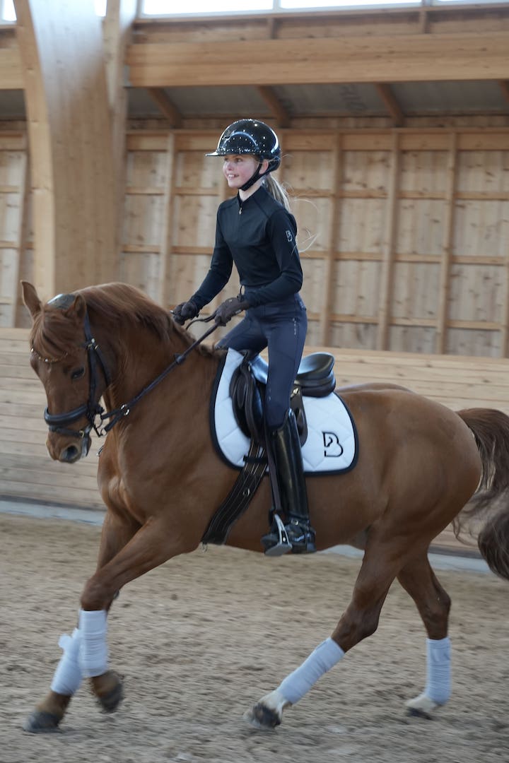 YR Flyinge Dark Grey Breeches - BREIJA