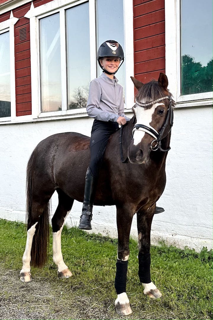 YR Ascot Grey Top - BREIJA