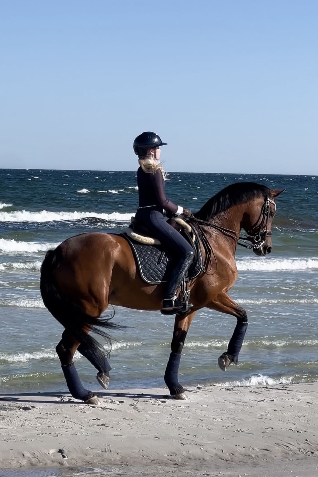 Flyinge Navy Breeches - BREIJA