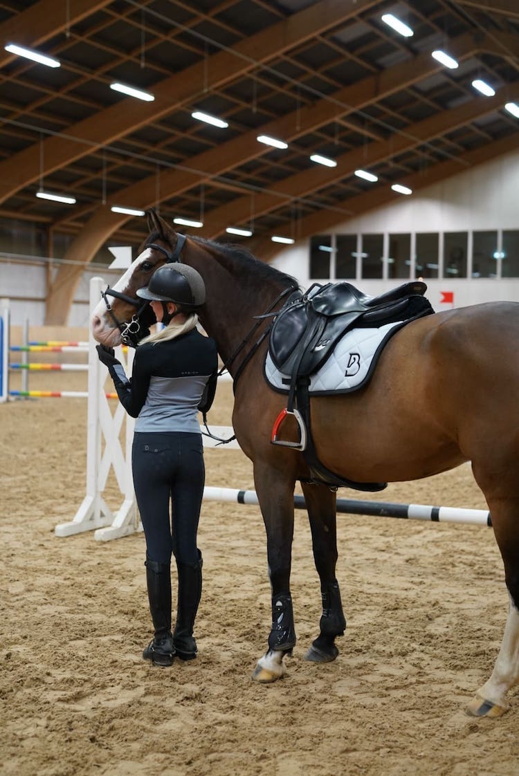 Arctic Grey Jump Saddle Pad - BREIJA