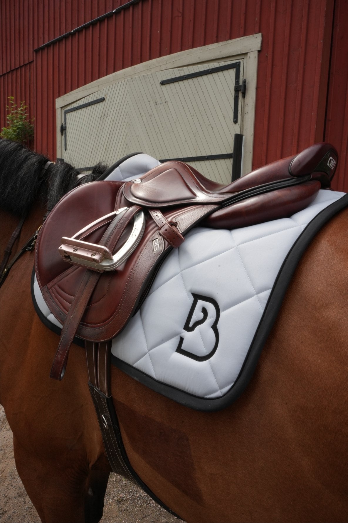Jump Saddle Pad Arctic Grey - BREIJA