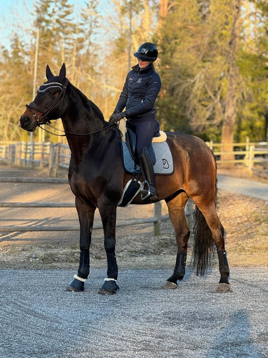Arktis Grau Dressurschabracke