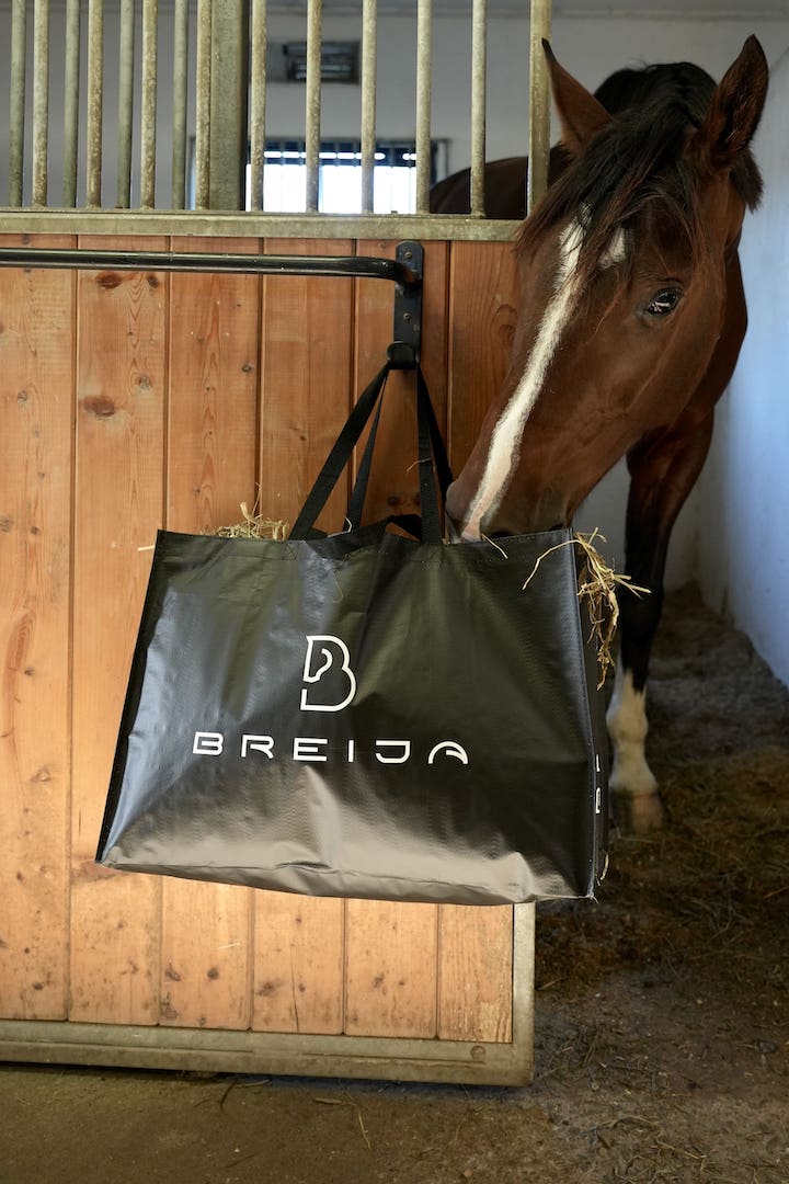 Hay Bag Black - BREIJA