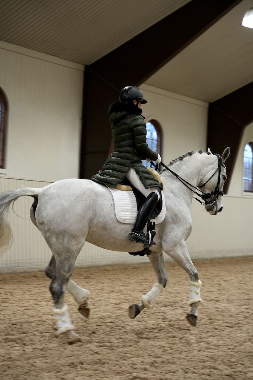 Sparkle White Dressage Saddle Pad - BREIJA