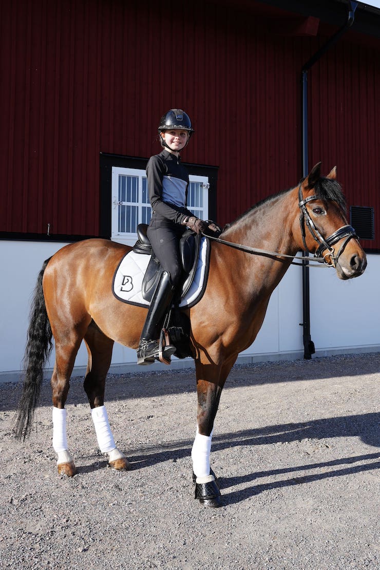 Arctic Grey Dressage Saddle Pad Pony - BREIJA