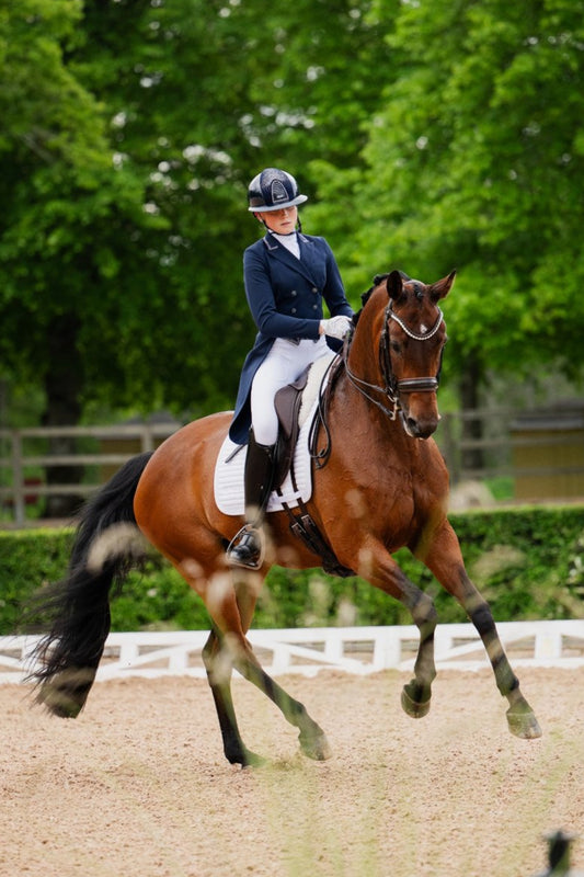 Glitter Vit Dressyrschabrak