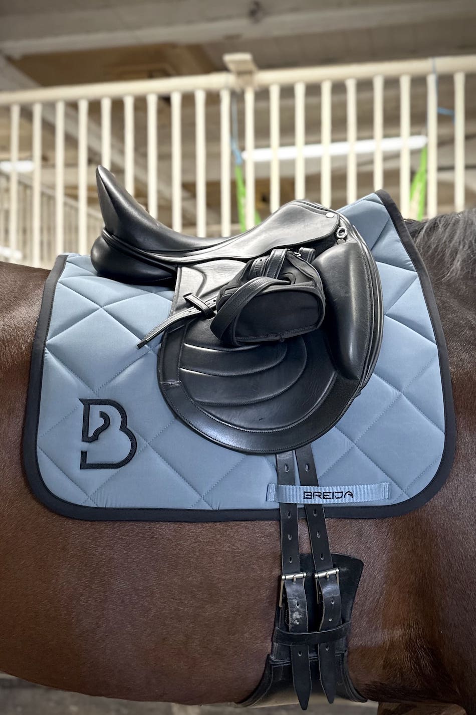 Arctic Blue Dressage Saddle Pad - BREIJA