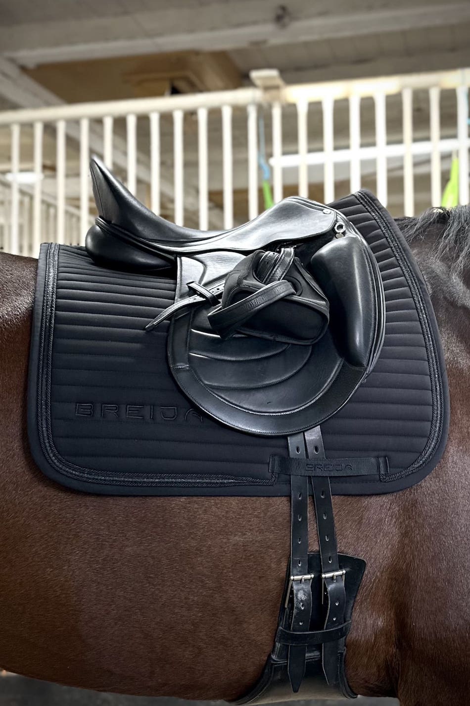 Sparkle Black Dressage Saddle Pad - BREIJA