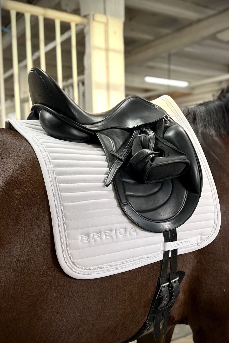 Sparkle White Dressage Saddle Pad - BREIJA