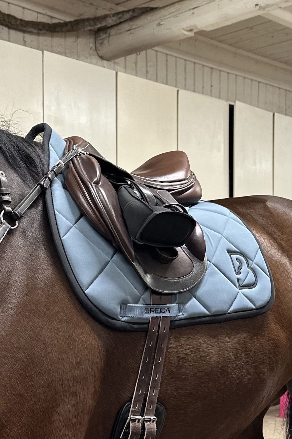 Arctic Blue Jump Saddle Pad - BREIJA