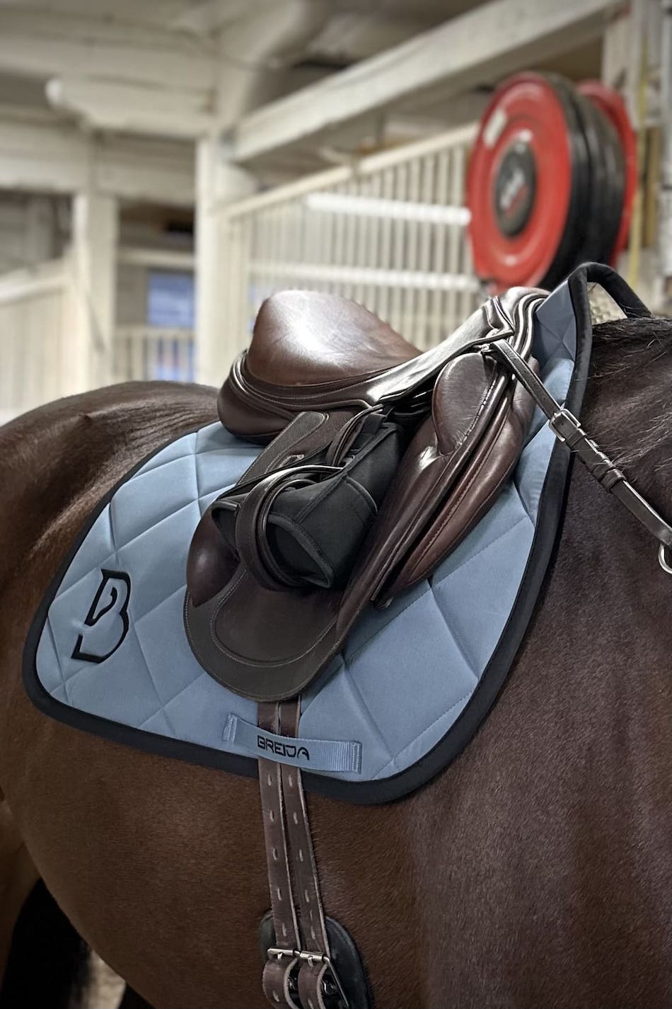 Arctic Blue Jump Saddle Pad - BREIJA