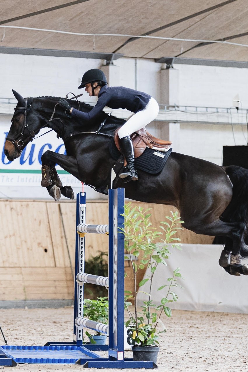 Glitzern Black Jump Schabracke